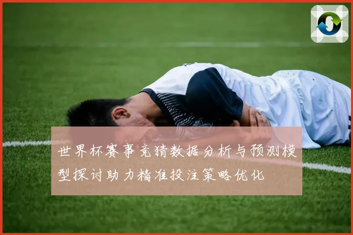 世界杯赛事竞猜数据分析与预测模型探讨助力精准投注策略优化