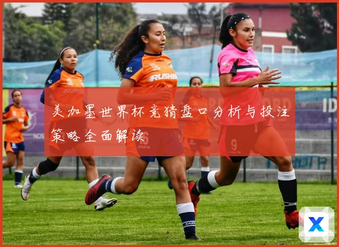 美加墨世界杯竞猜盘口分析与投注策略全面解读