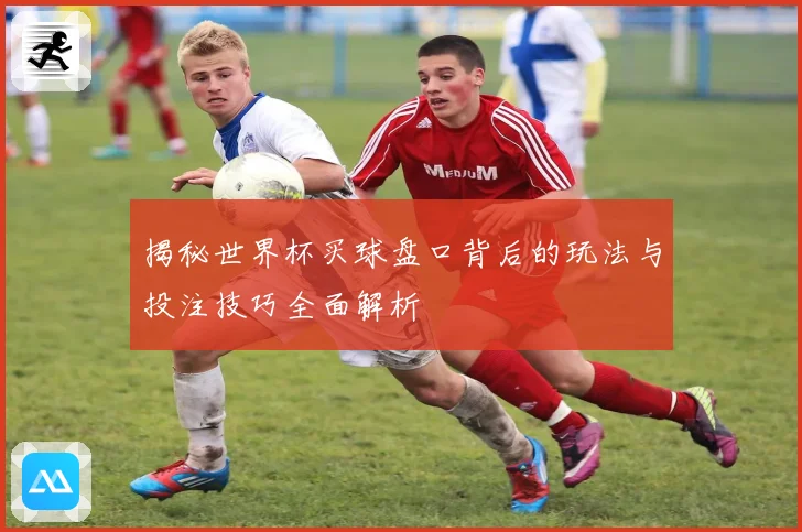 揭秘世界杯买球盘口背后的玩法与投注技巧全面解析