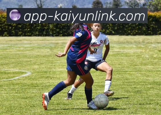 开云平台展示图